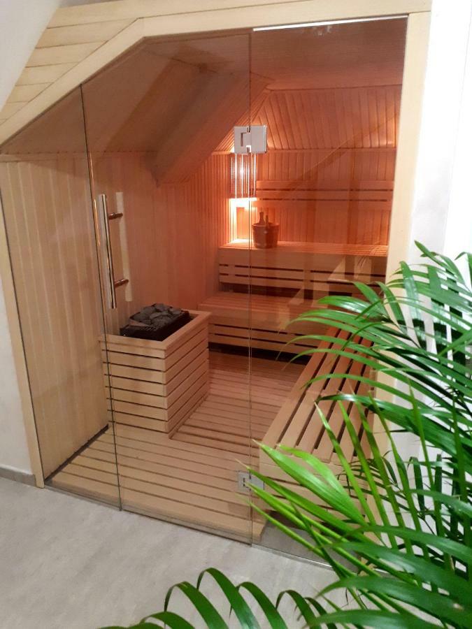 Elena Apartment&Spa Zlatibor Extérieur photo